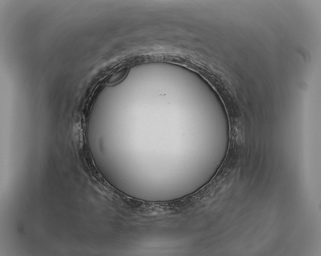 X0000112961493200909101622