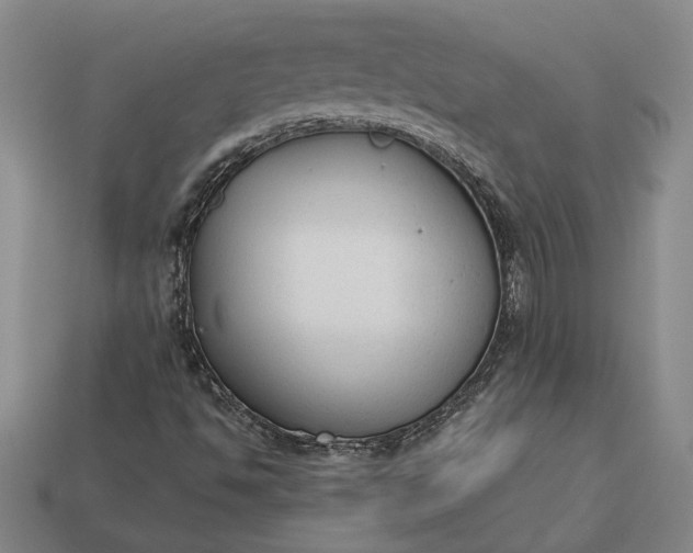 X0000112961494200909101622