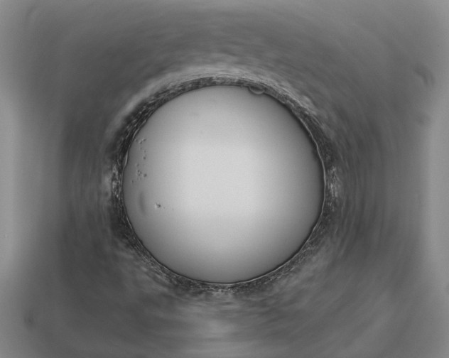 X0000112961495200909101622