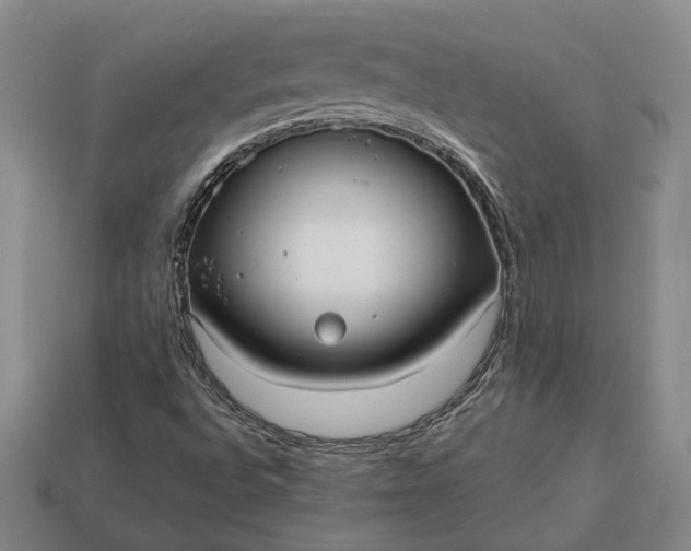 X0000112961496200909101622