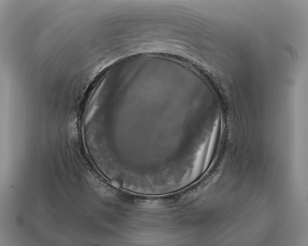 X0000112961497200909101622