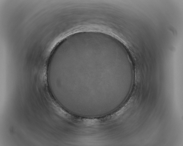 X0000112961498200909101622