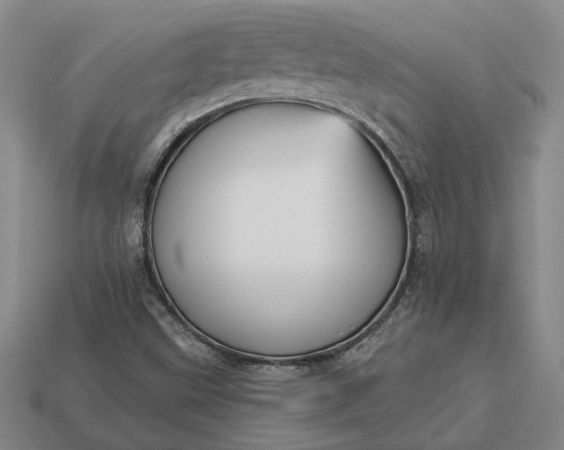 X0000112961499200909101622