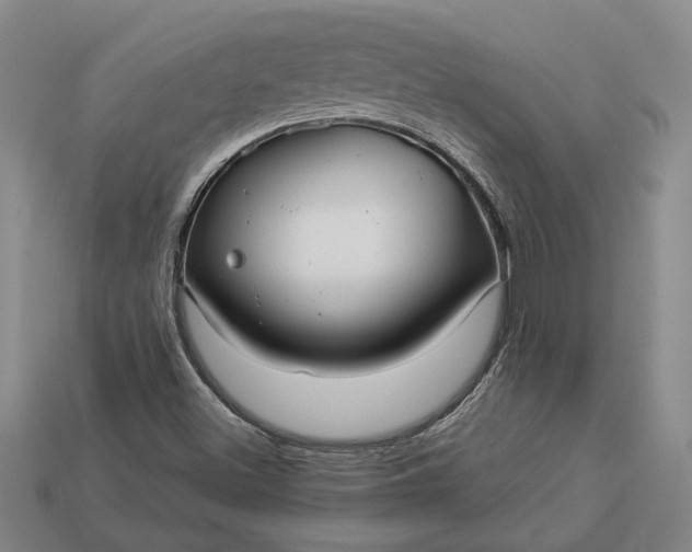 X0000112961500200909101622