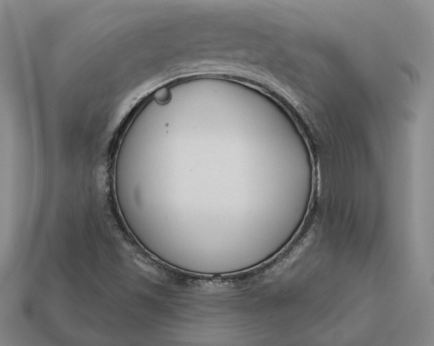 X0000112961501200909101622