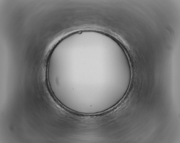 X0000112961504200909101622