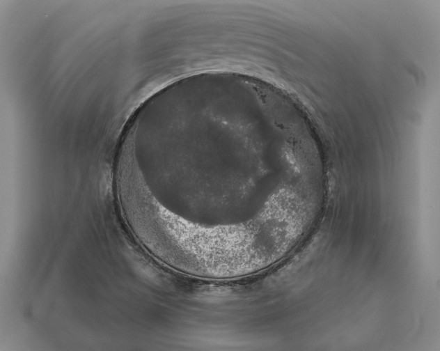 X0000112961505200909101622