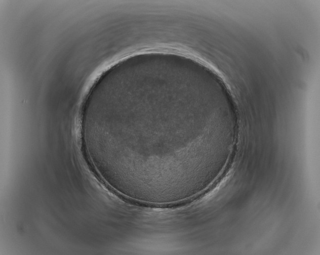 X0000112961506200909101622