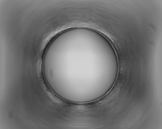 X0000112961507200909101622