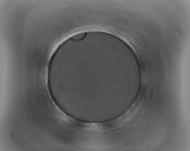 X0000112961508200909101622