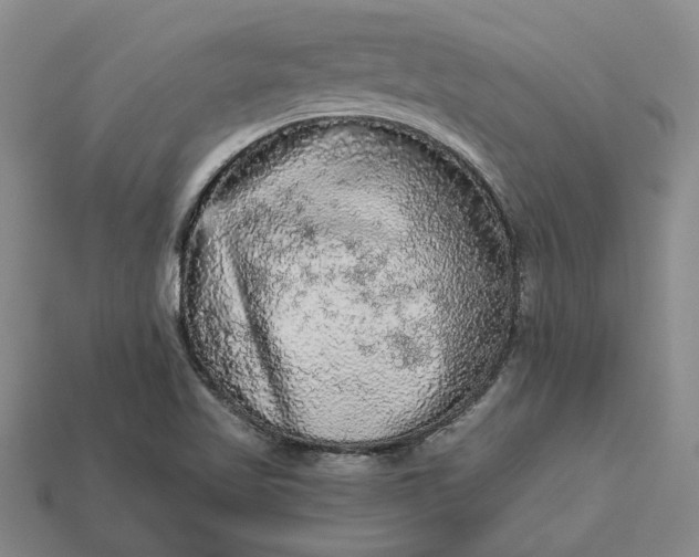 X0000112961509200909101622