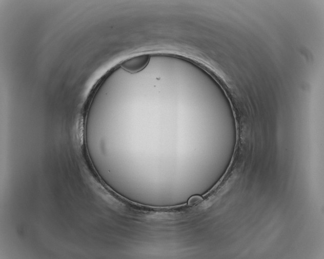 X0000112961510200909101622