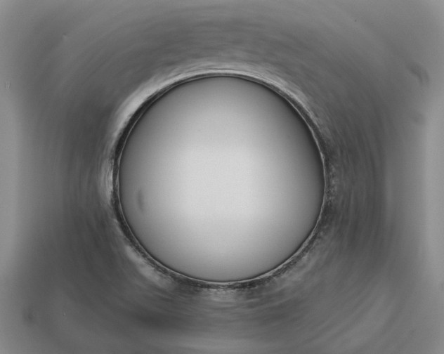 X0000112961511200909101622