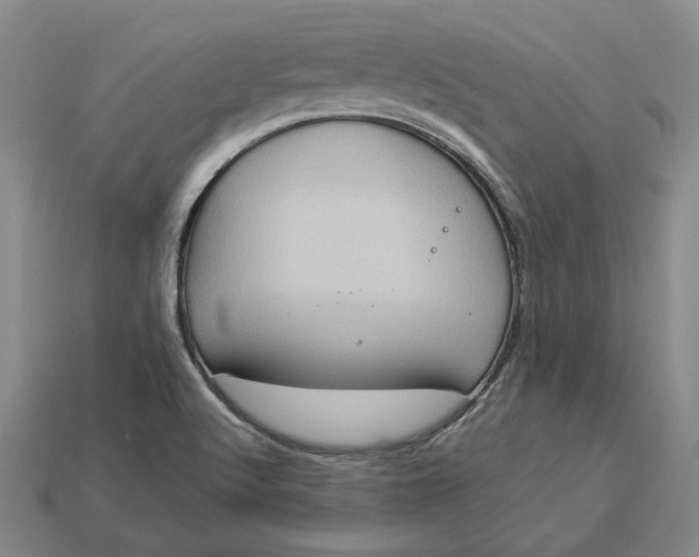 X0000112961512200909101622