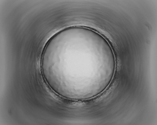 X0000112961513200909101622