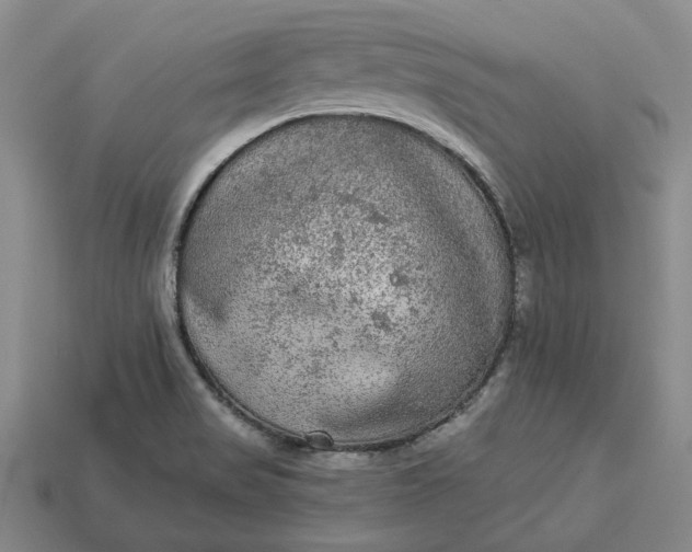 X0000112961517200909101622