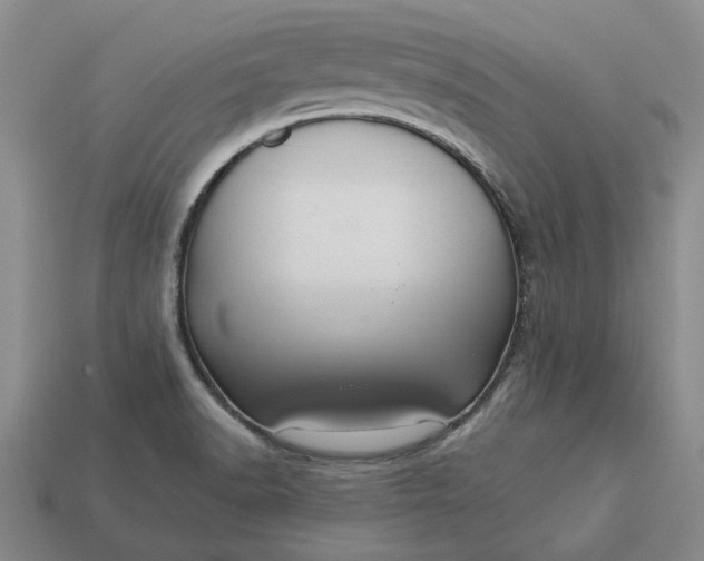 X0000112961518200909101622