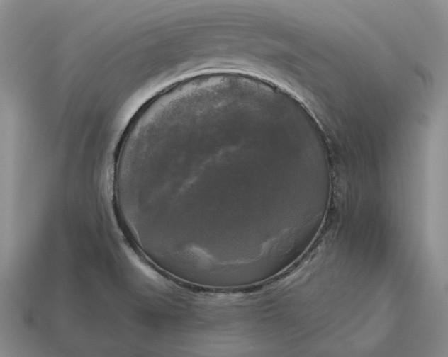 X0000112961519200909101622