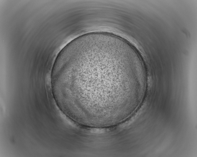 X0000112961521200909101622