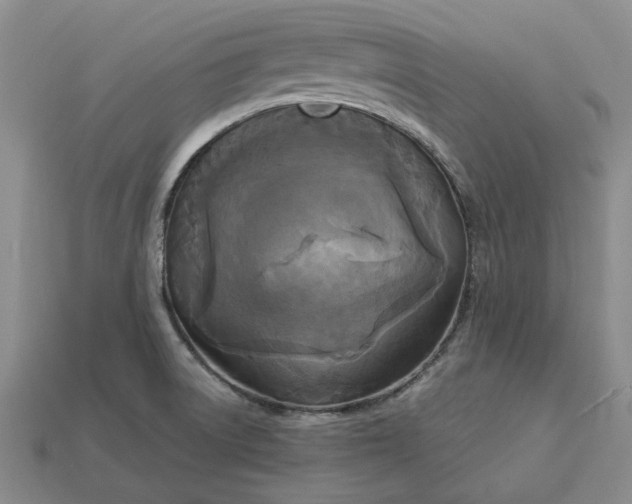 X0000112961522200909101622