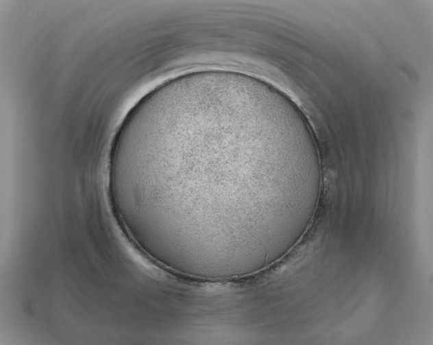 X0000112961523200909101622