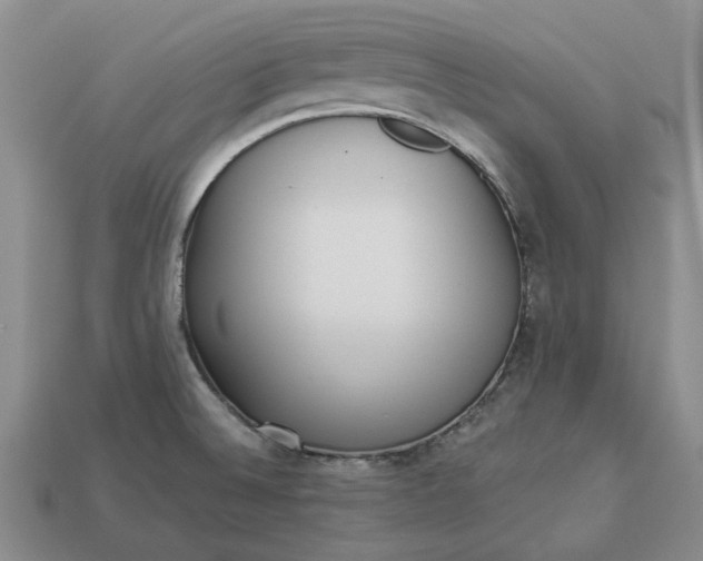 X0000112961524200909101622