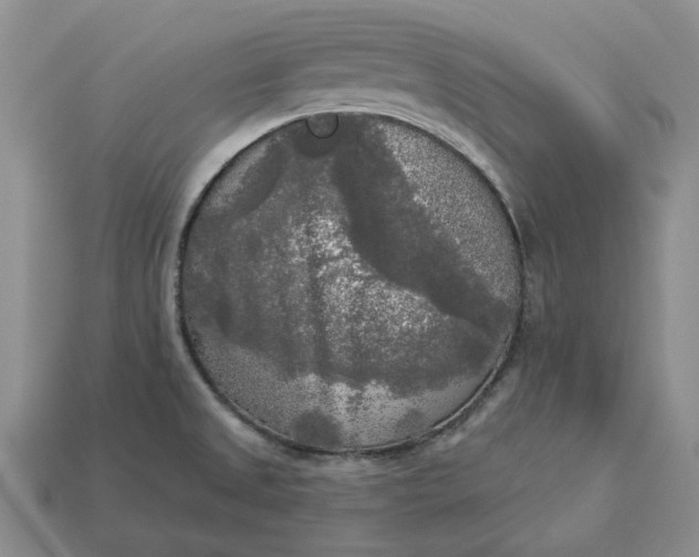 X0000112961525200909101622