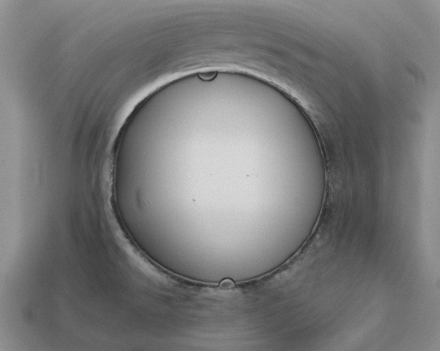 X0000112961526200909101622