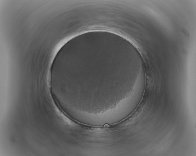 X0000112961527200909101622