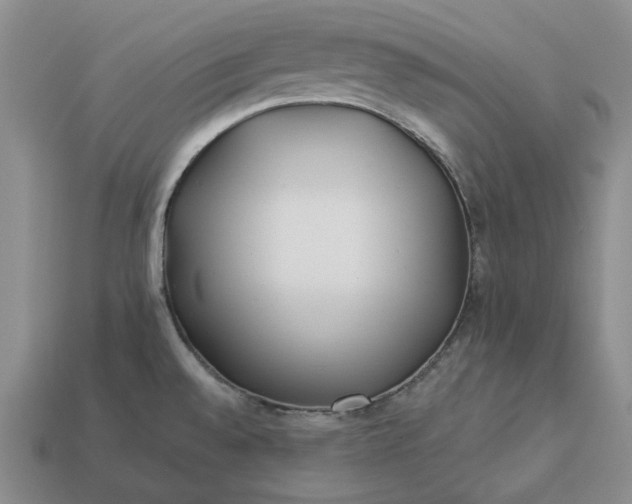 X0000112961528200909101622