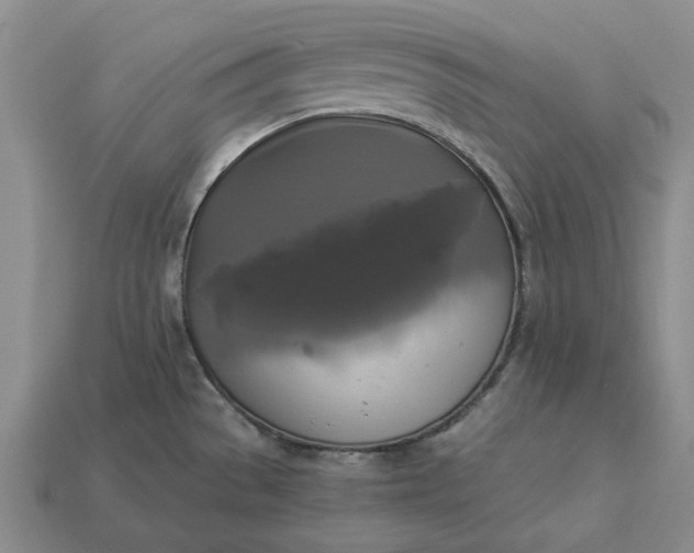 X0000112961529200909101622