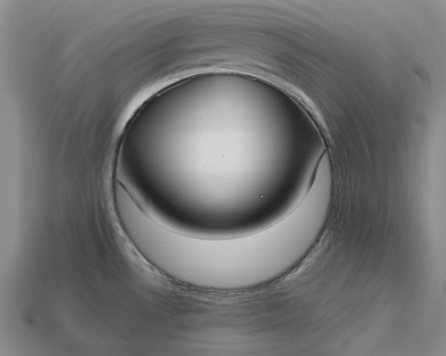 X0000112961530200909101622