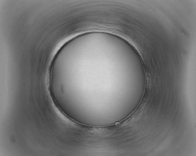 X0000112961531200909101622