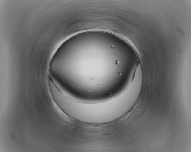 X0000112961532200909101622