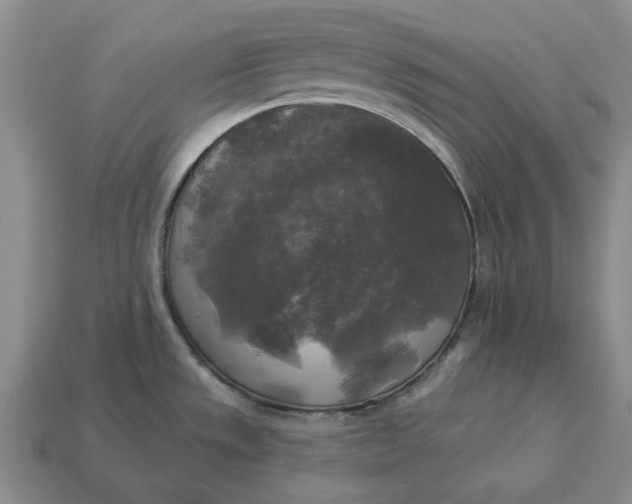 X0000112961533200909101622