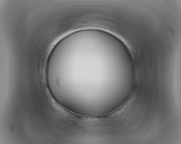 X0000112961534200909101622