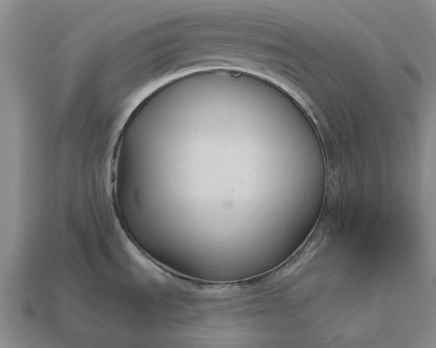 X0000112961535200909101622