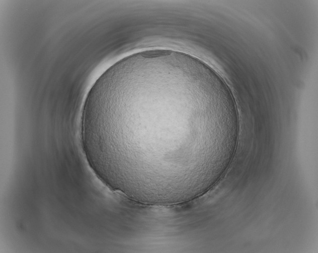 X0000112961536200909101622