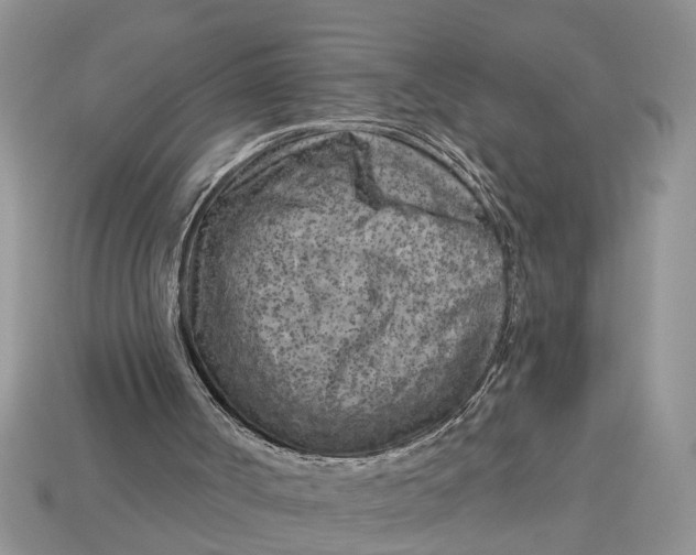 X0000112960002200909171307