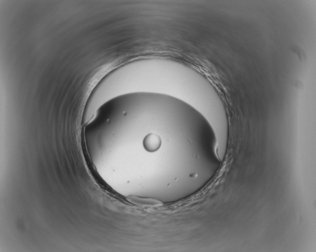 X0000112960003200909171307