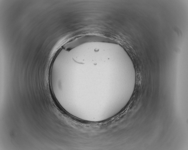 X0000112960004200909171307