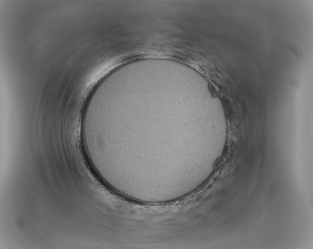 X0000112960005200909171307