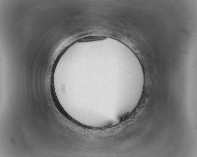 X0000112960007200909171307