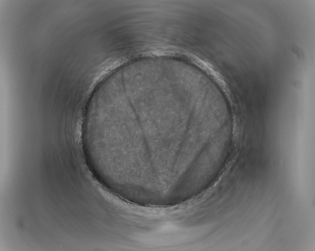 X0000112960010200909171307