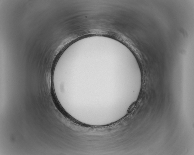 X0000112960011200909171307