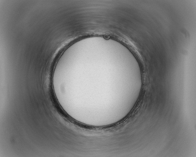 X0000112960012200909171307