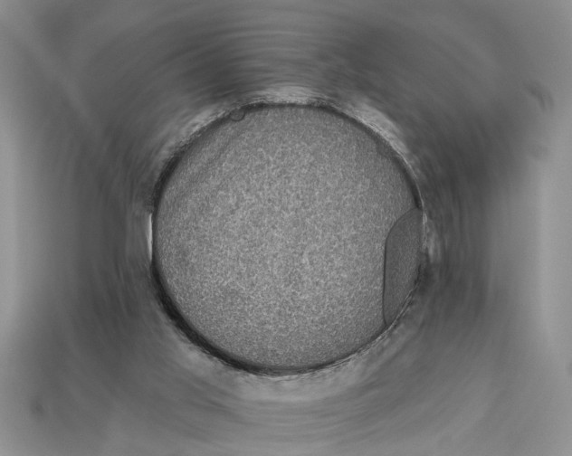 X0000112960013200909171307