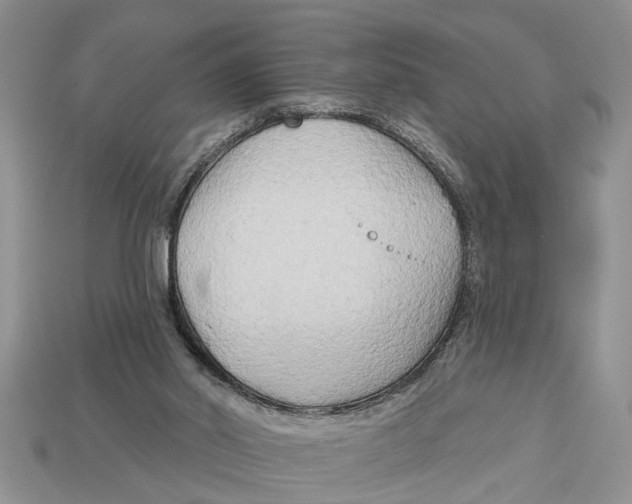 X0000112960014200909171307