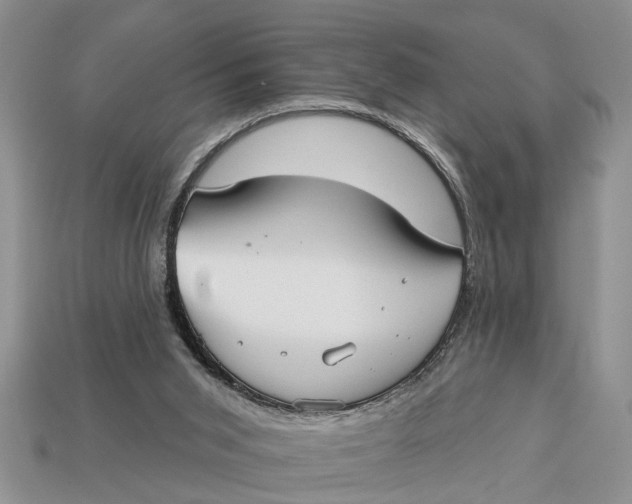 X0000112960015200909171307