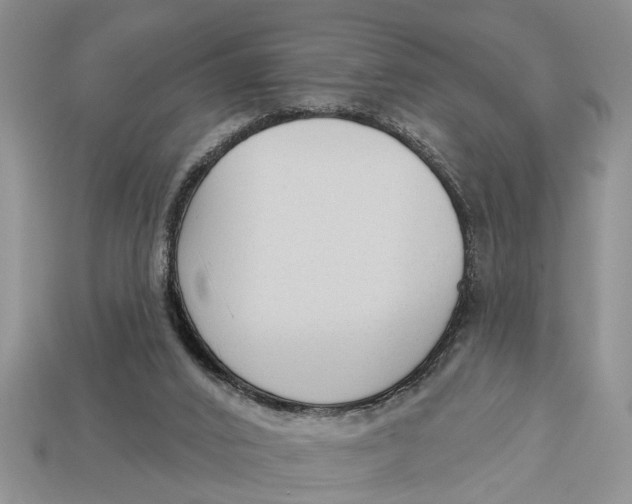 X0000112960016200909171307